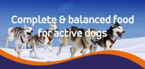 Complete balanced food for active dogs