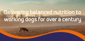 Delivering balanced nutrition to working dogs banner
