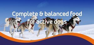Complete and balanced food for active dogs