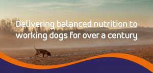 Delivering balanced nutrition to working dogs for over a century