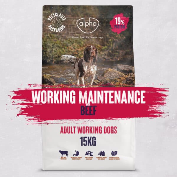 Working Maintenance (Beef) 15kg <br> 19% Protein