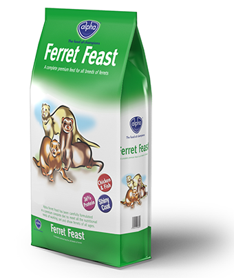 Ferret Food