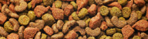 cat food