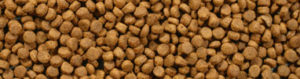 Kibble