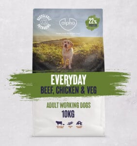 Everyday - Beef, Chicken & Veg