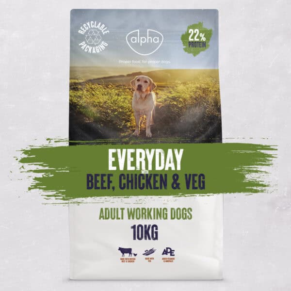 Everyday - Beef, Chicken & Veg