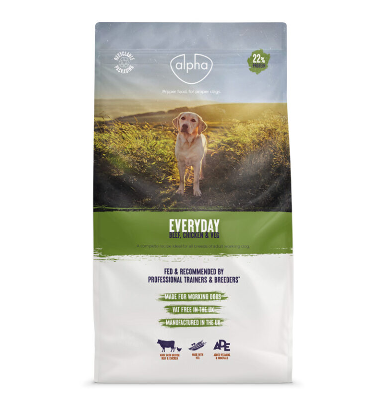 Everyday Dog Food 10kg 22 Protein