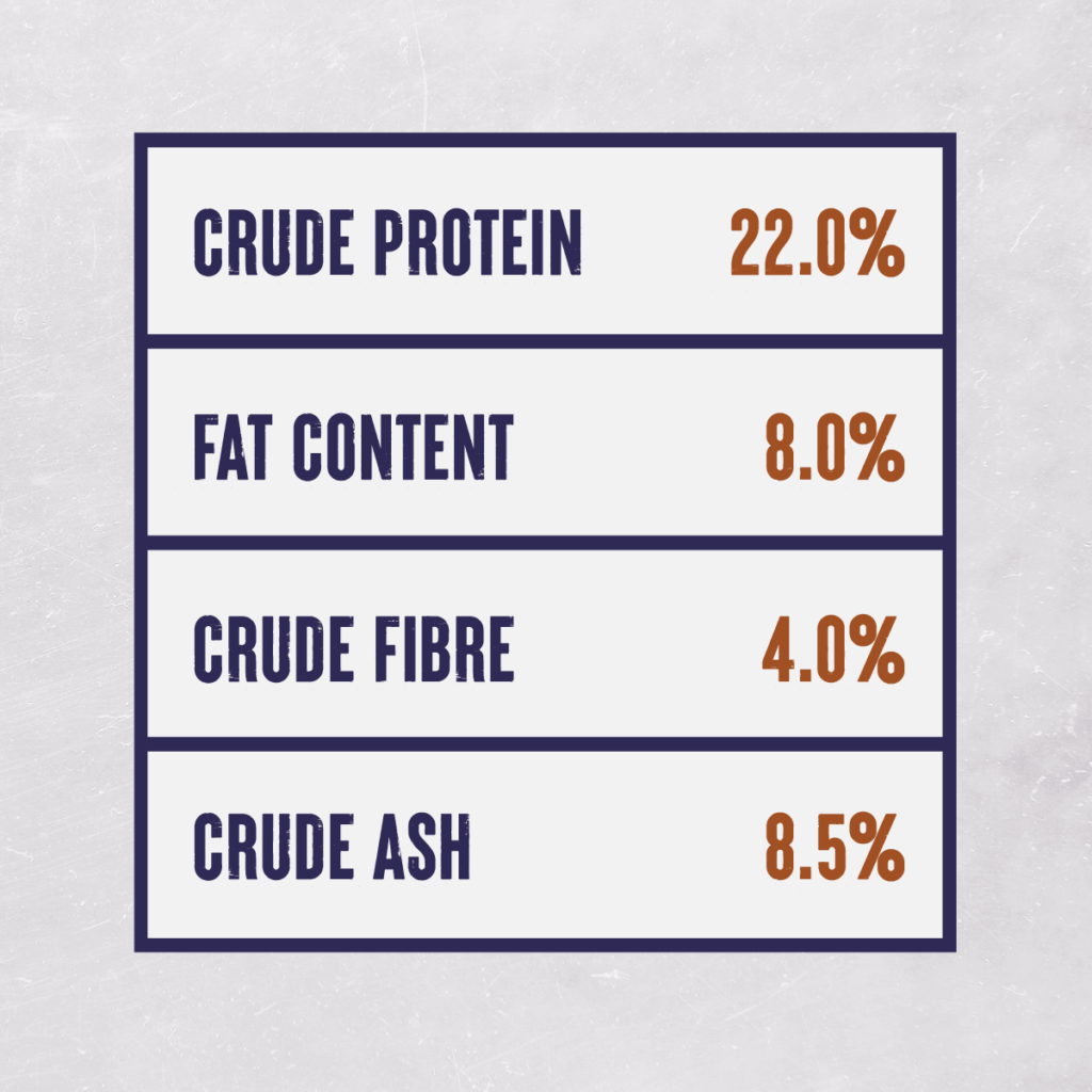 everyday-dog-food-10kg-22-protein
