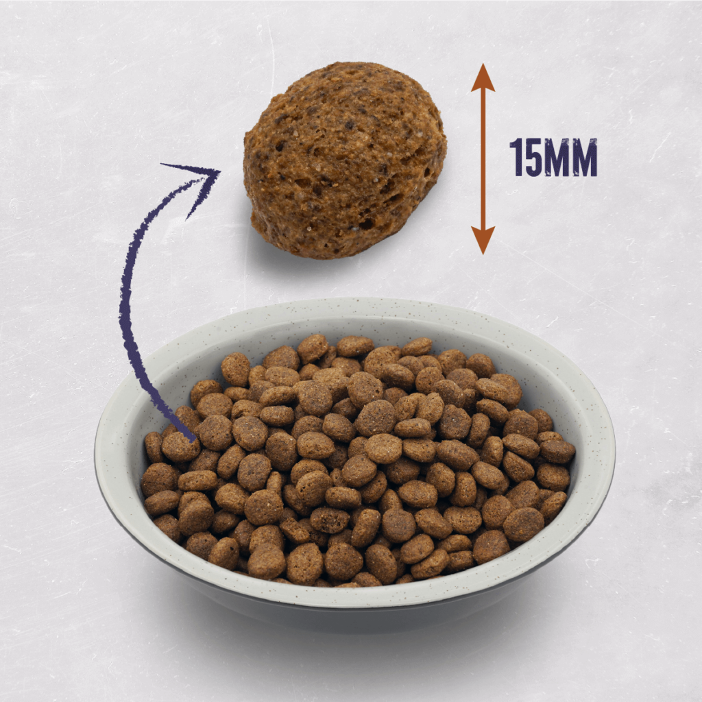 everyday-dog-food-10kg-22-protein
