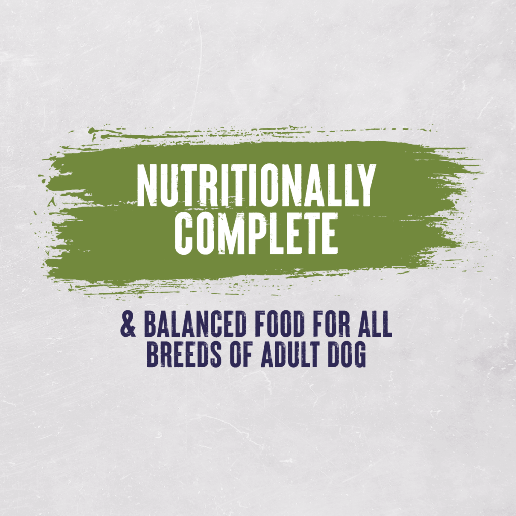 everyday-dog-food-10kg-22-protein