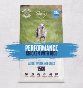 Performance Chicken with Rice