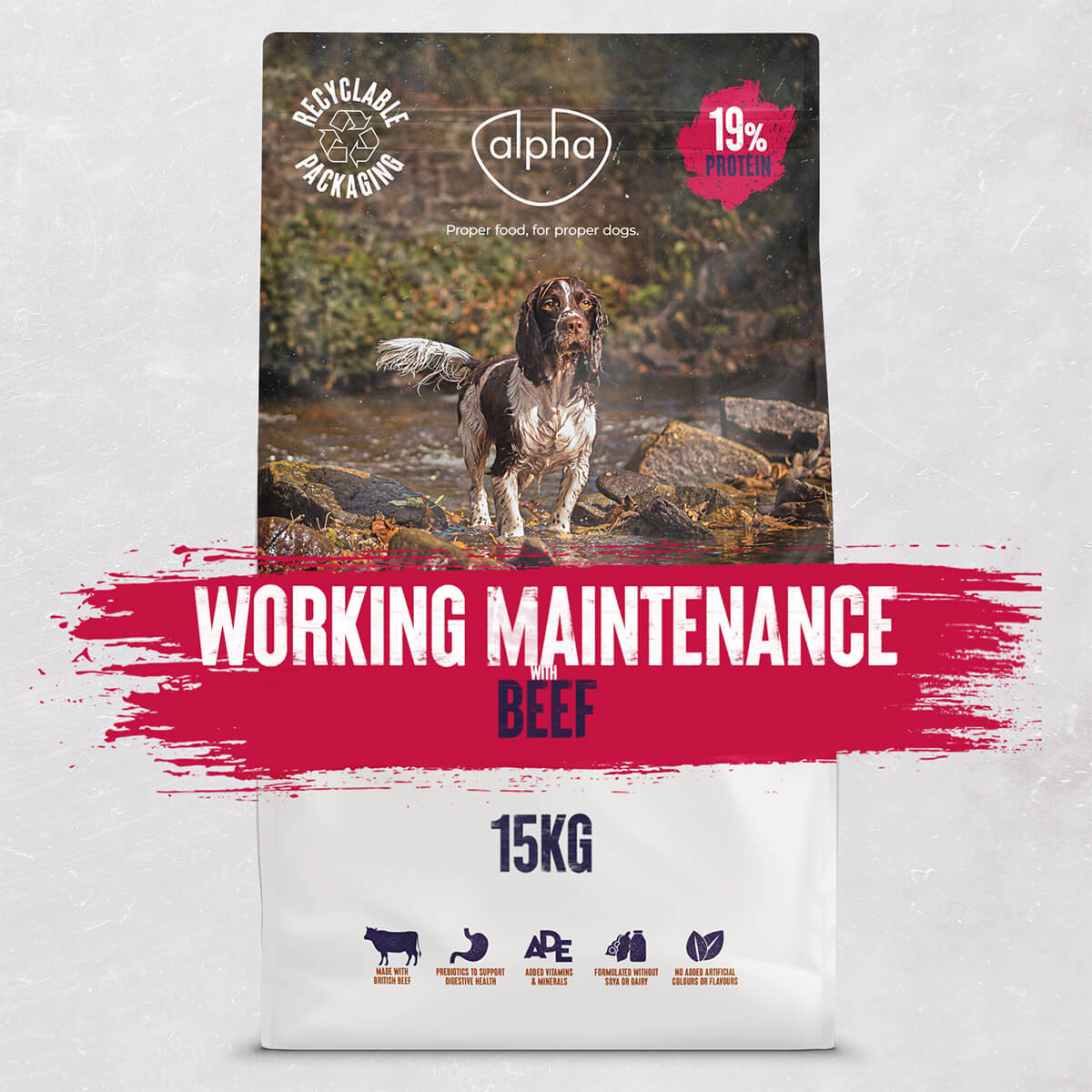 Working Maintenance 15kg 19 Protein