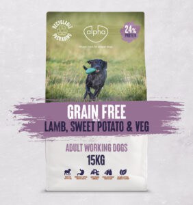 Grain Free Lamb, Sweet Potato & Veg