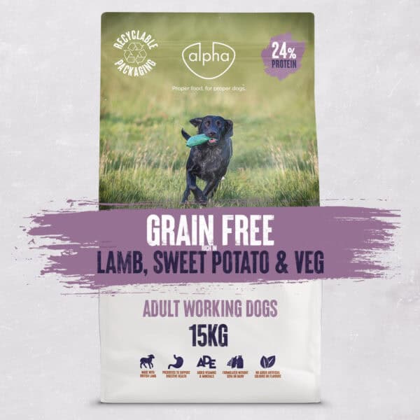Grain Free Lamb, Sweet Potato & Veg