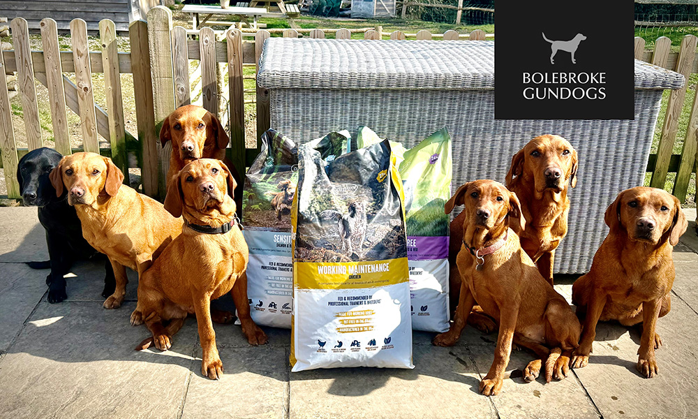 Bolebroke Gundogs with Alpha Feeds