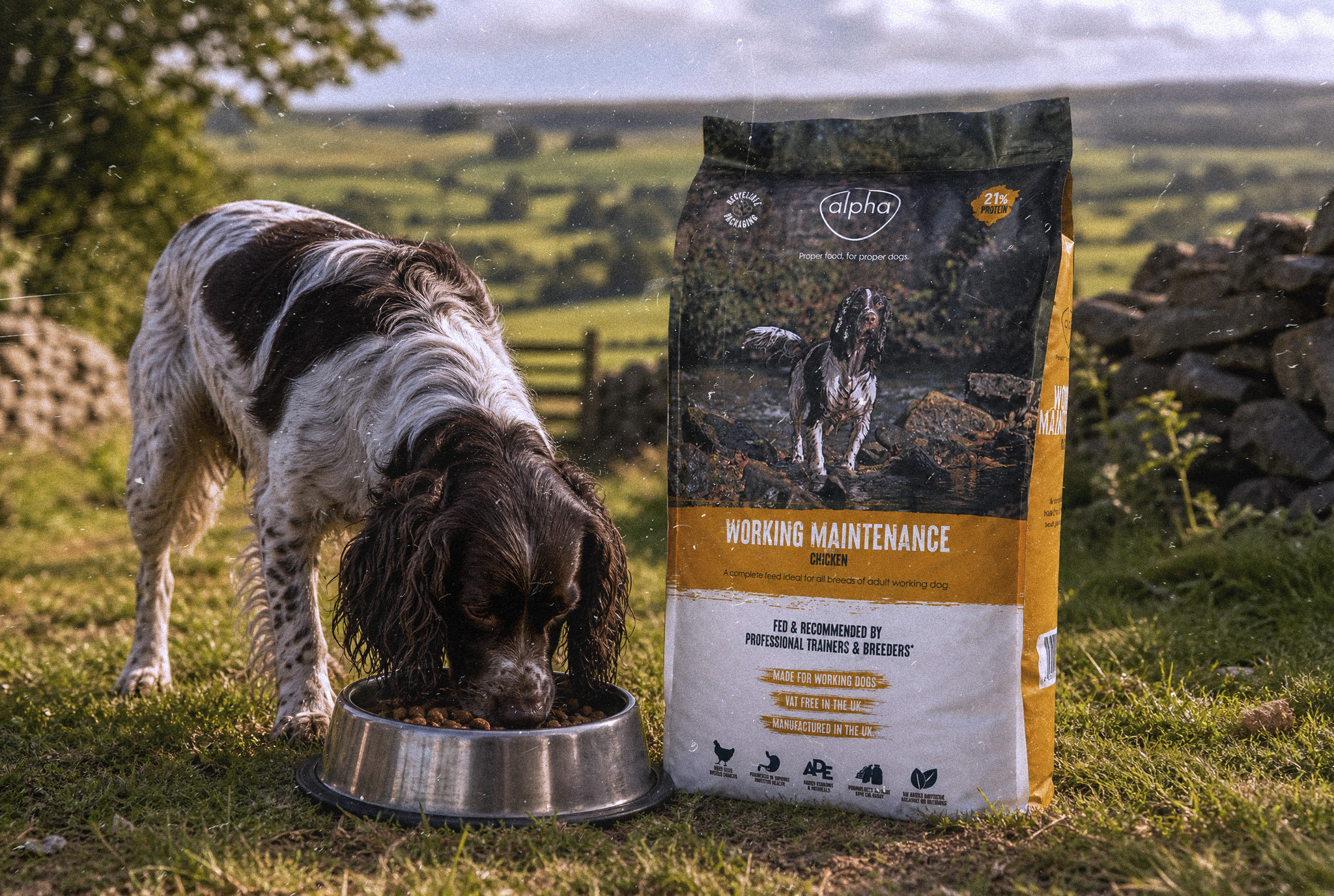 How VAT free working dog food cuts your feeding bill